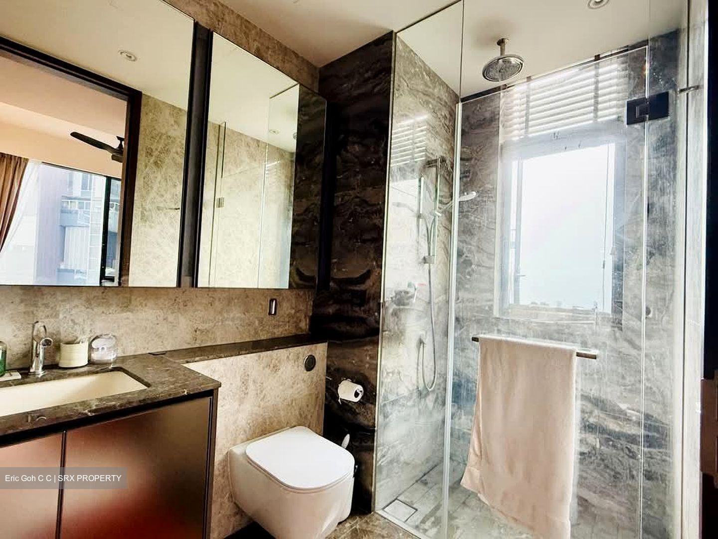 Leedon Green (D10), Condominium #530353371